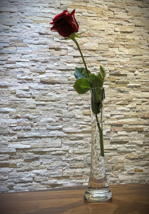 La Rosa Di Vinovo - Open Space公寓 外观 照片
